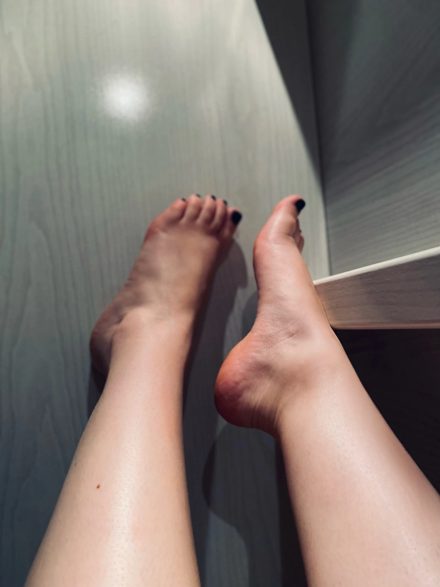 Paloma 7 Paloma - Image 5