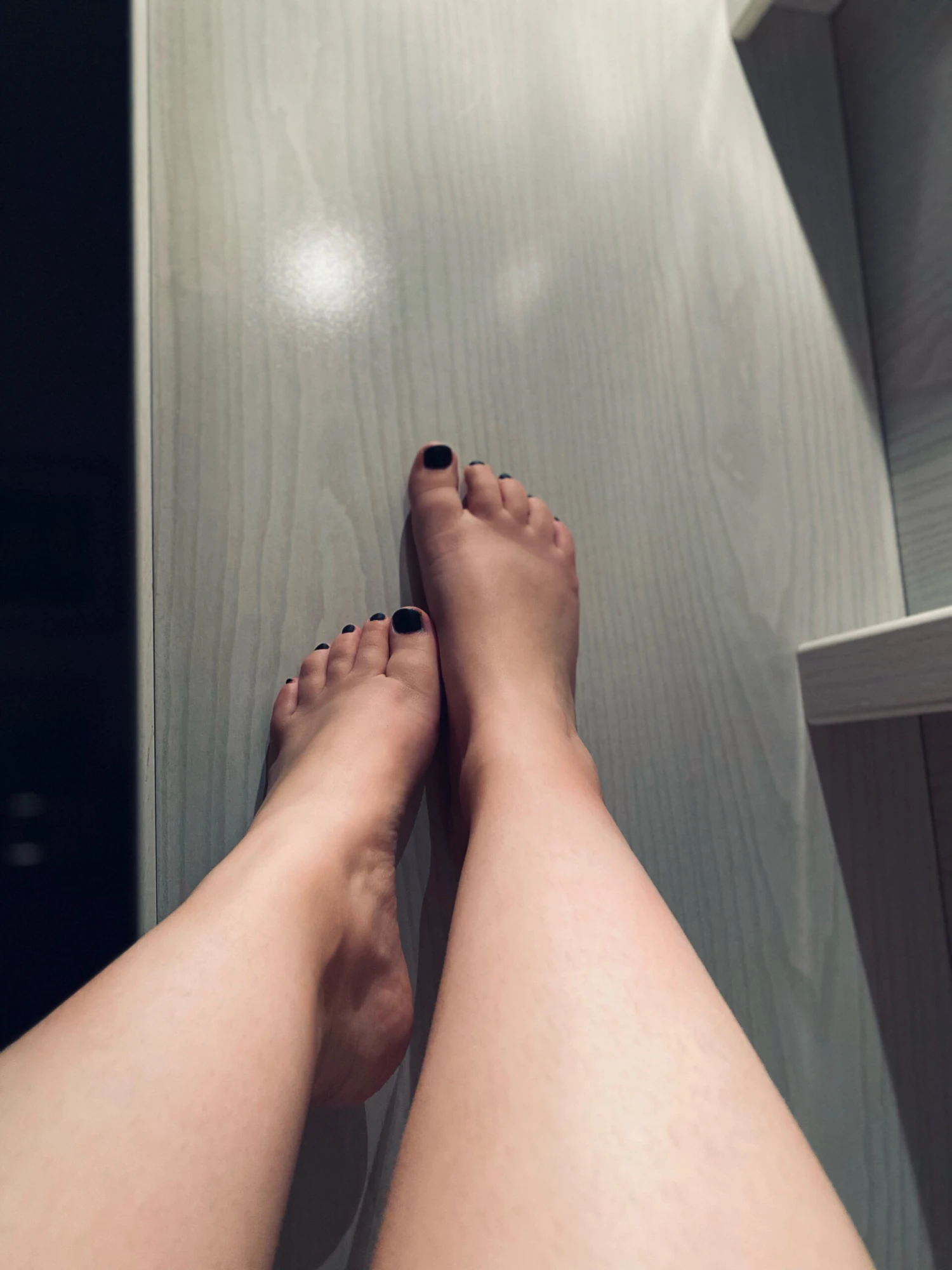 Paloma 4 Paloma - Image 2