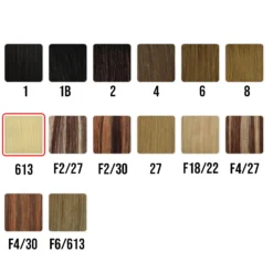 Mistic Clip-On Hair Extensions 9Pcs Straight -Luxe Locks Shop colorchartcopy